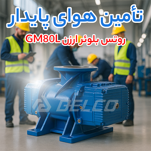 روتس بلوئر ارزن GM80L